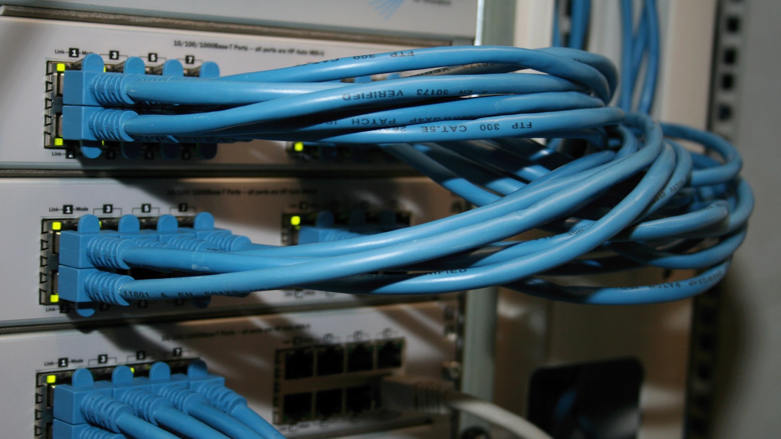Blue Ethernet patch cables plugged into network switches